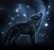 Wolfofdarkness400